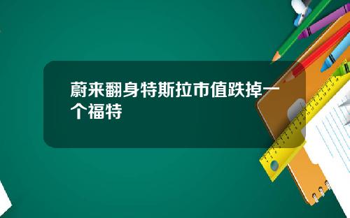 蔚来翻身特斯拉市值跌掉一个福特