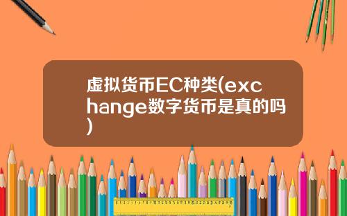 虚拟货币EC种类(exchange数字货币是真的吗)