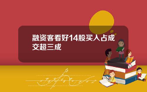 融资客看好14股买入占成交超三成