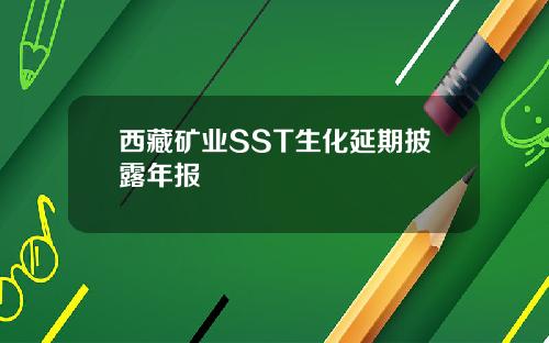 西藏矿业SST生化延期披露年报