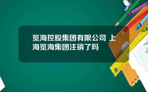览海控股集团有限公司 上海览海集团注销了吗