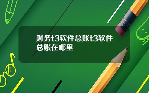 财务t3软件总账t3软件总账在哪里