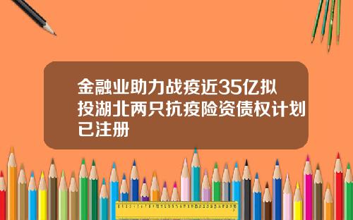金融业助力战疫近35亿拟投湖北两只抗疫险资债权计划已注册