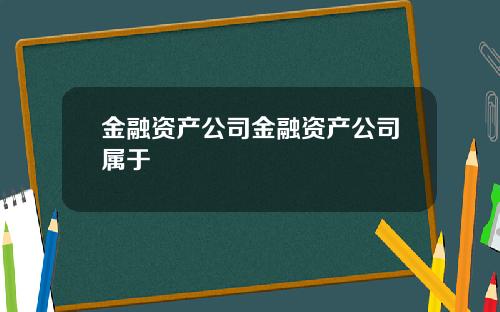 金融资产公司金融资产公司属于