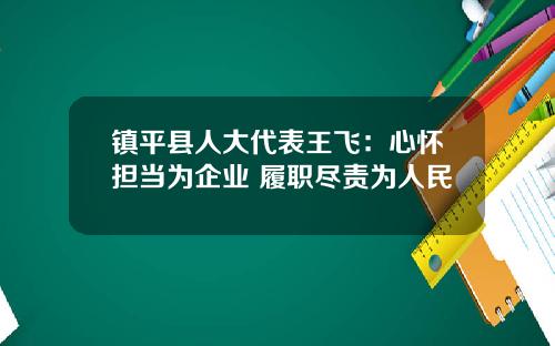 镇平县人大代表王飞：心怀担当为企业 履职尽责为人民
