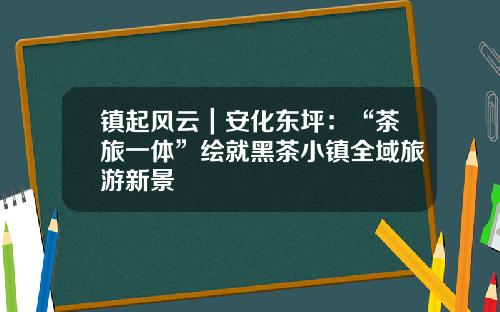 镇起风云｜安化东坪：“茶旅一体”绘就黑茶小镇全域旅游新景