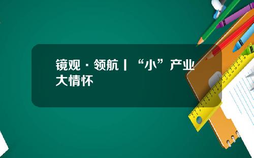 镜观·领航丨“小”产业 大情怀