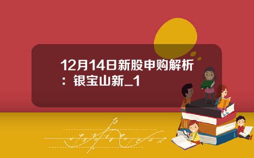 12月14日新股申购解析：银宝山新_1
