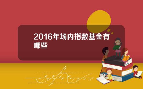 2016年场内指数基金有哪些