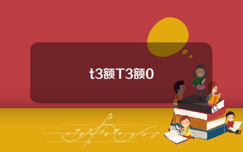 t3额T3额0