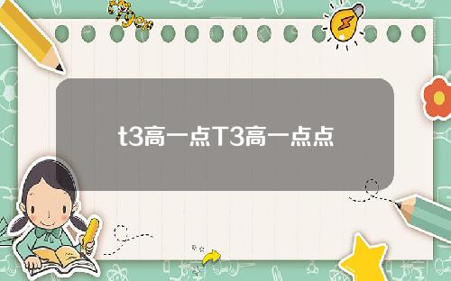t3高一点T3高一点点