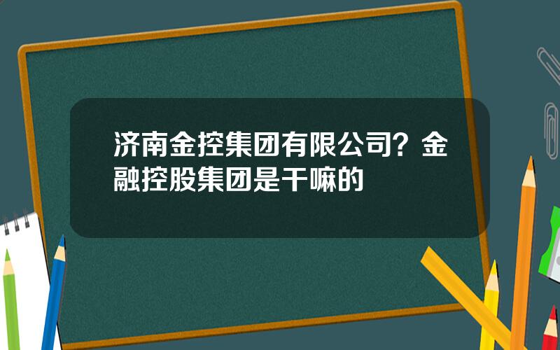 济南金控集团有限公司？金融控股集团是干嘛的