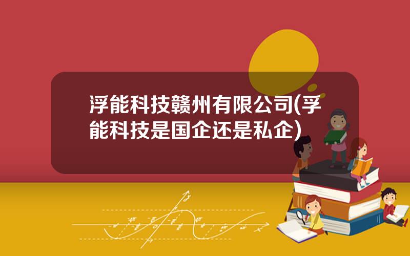 浮能科技赣州有限公司(孚能科技是国企还是私企)