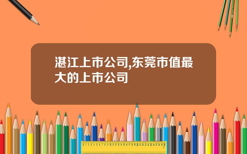 湛江上市公司,东莞市值最大的上市公司