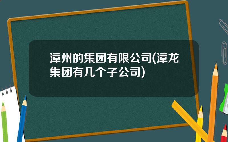 漳州的集团有限公司(漳龙集团有几个子公司)