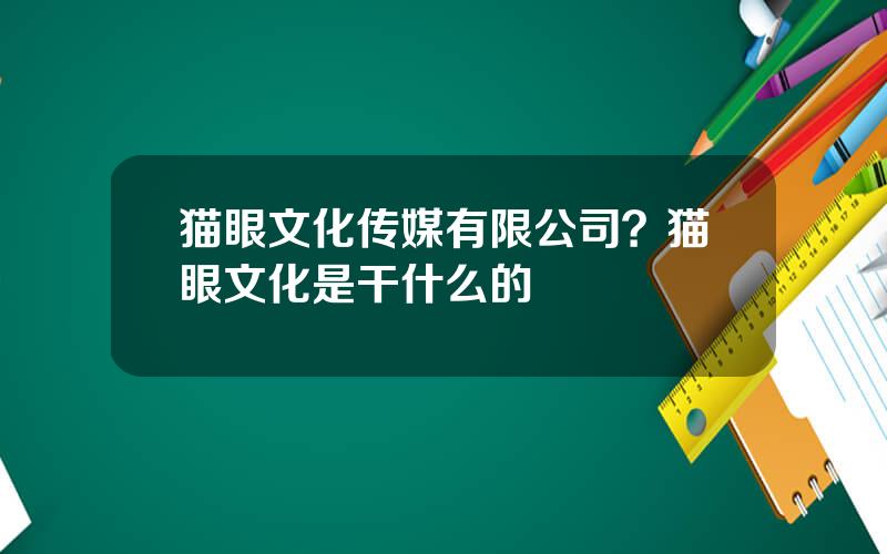 猫眼文化传媒有限公司？猫眼文化是干什么的