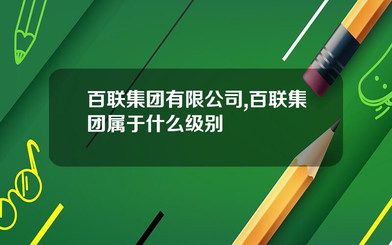 百联集团有限公司,百联集团属于什么级别