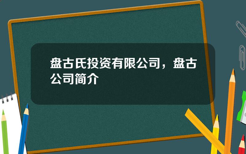 盘古氏投资有限公司，盘古公司简介