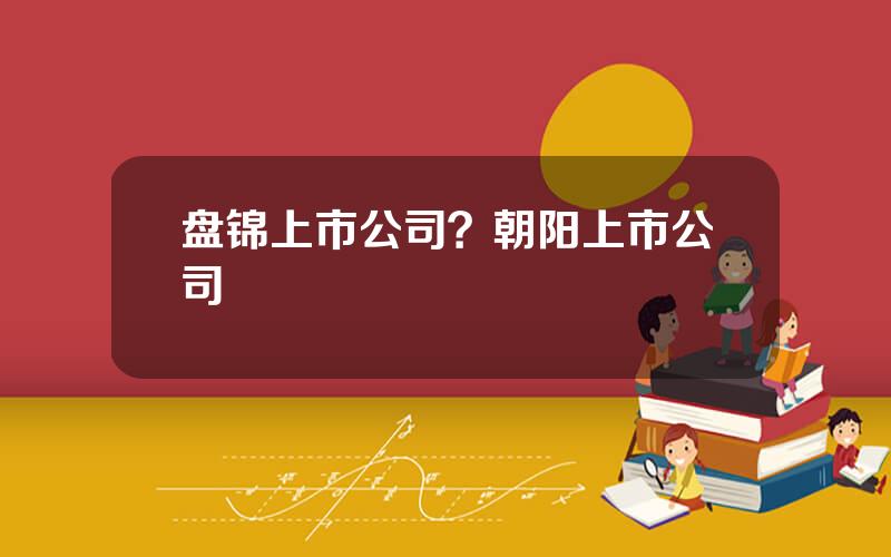 盘锦上市公司？朝阳上市公司