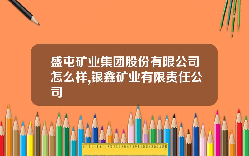 盛屯矿业集团股份有限公司怎么样,银鑫矿业有限责任公司