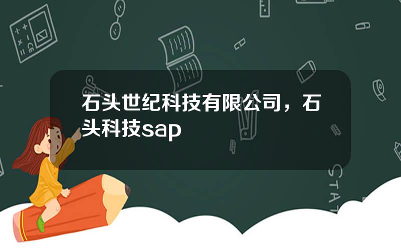 石头世纪科技有限公司，石头科技sap