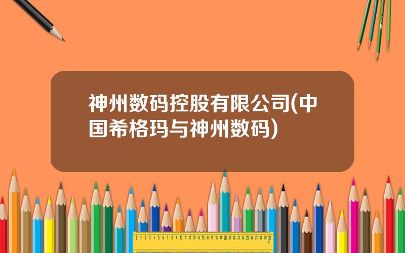 神州数码控股有限公司(中国希格玛与神州数码)