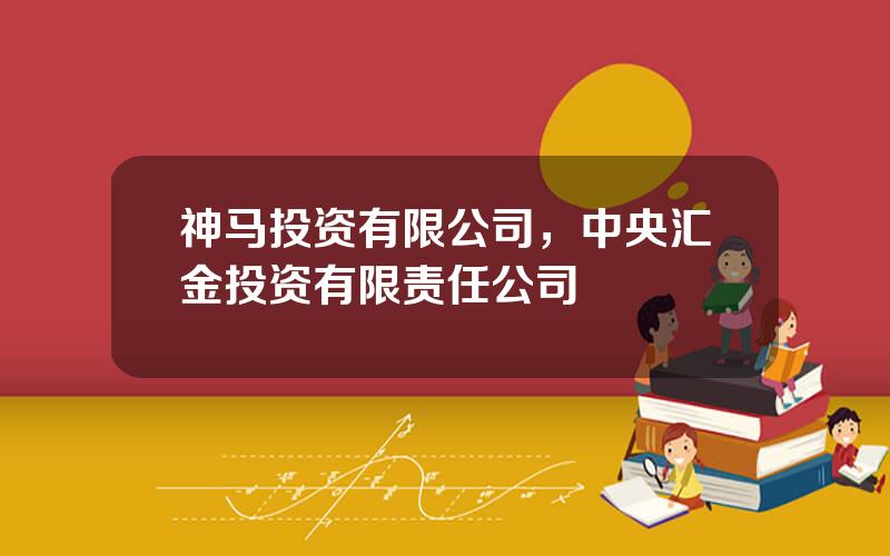 神马投资有限公司，中央汇金投资有限责任公司