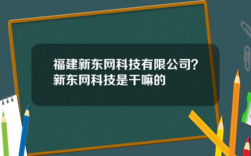 福建新东网科技有限公司？新东网科技是干嘛的