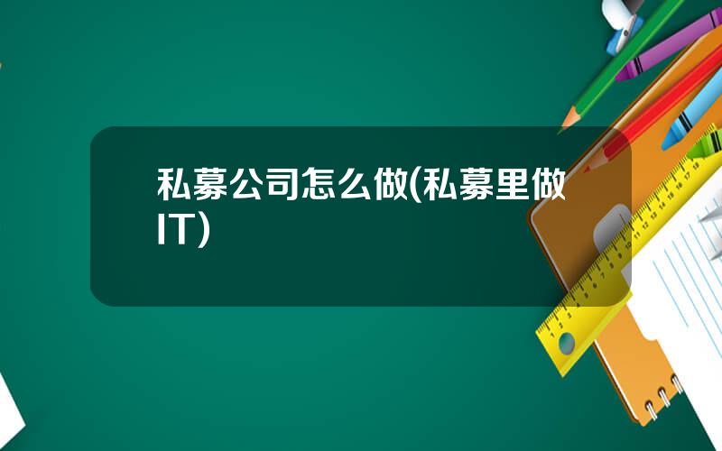私募公司怎么做(私募里做IT)