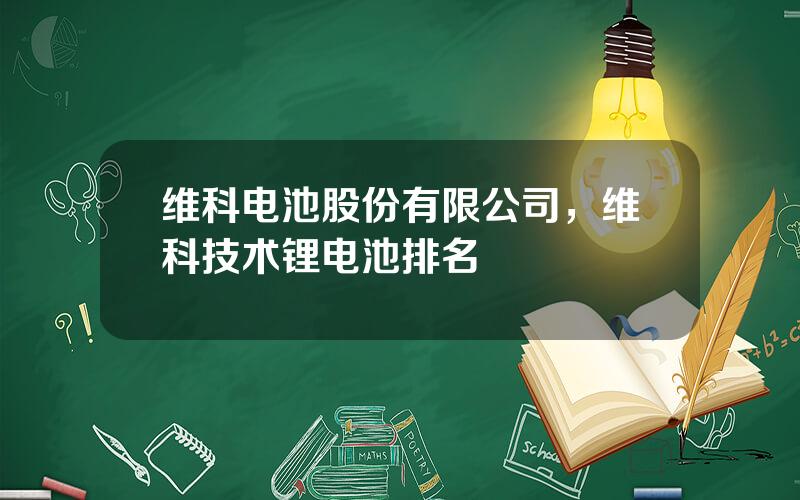 维科电池股份有限公司，维科技术锂电池排名