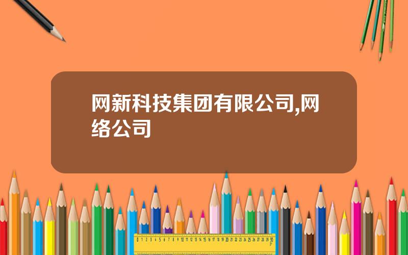 网新科技集团有限公司,网络公司