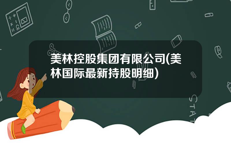 美林控股集团有限公司(美林国际最新持股明细)