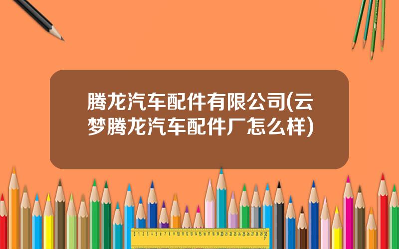 腾龙汽车配件有限公司(云梦腾龙汽车配件厂怎么样)
