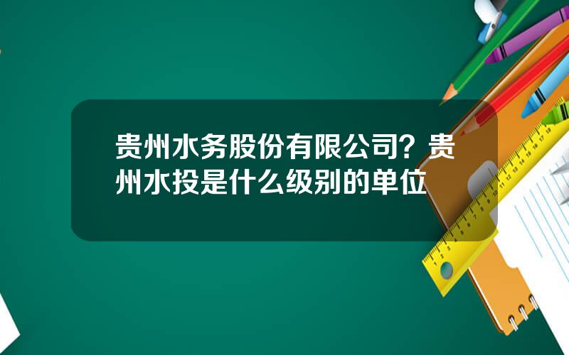 贵州水务股份有限公司？贵州水投是什么级别的单位