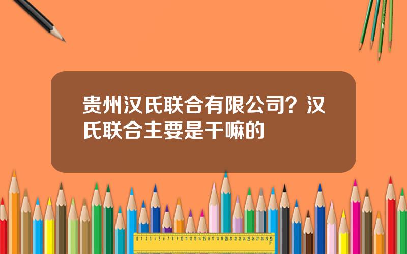 贵州汉氏联合有限公司？汉氏联合主要是干嘛的