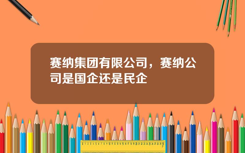 赛纳集团有限公司，赛纳公司是国企还是民企