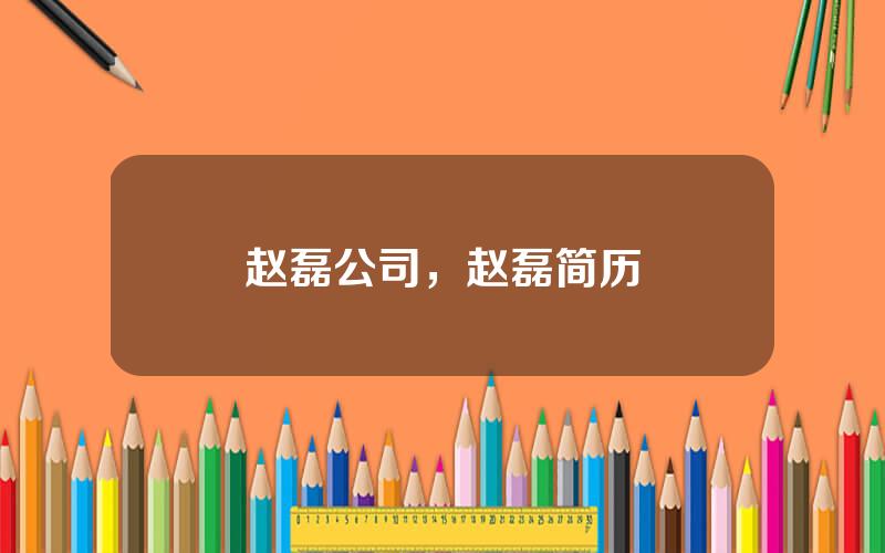 赵磊公司，赵磊简历