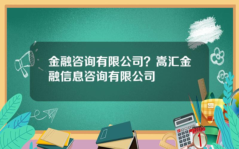金融咨询有限公司？嵩汇金融信息咨询有限公司