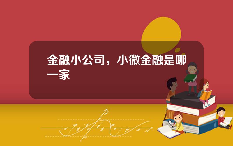 金融小公司，小微金融是哪一家