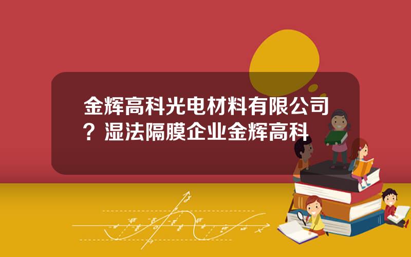 金辉高科光电材料有限公司？湿法隔膜企业金辉高科